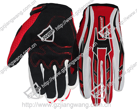 Motorcycle Glove